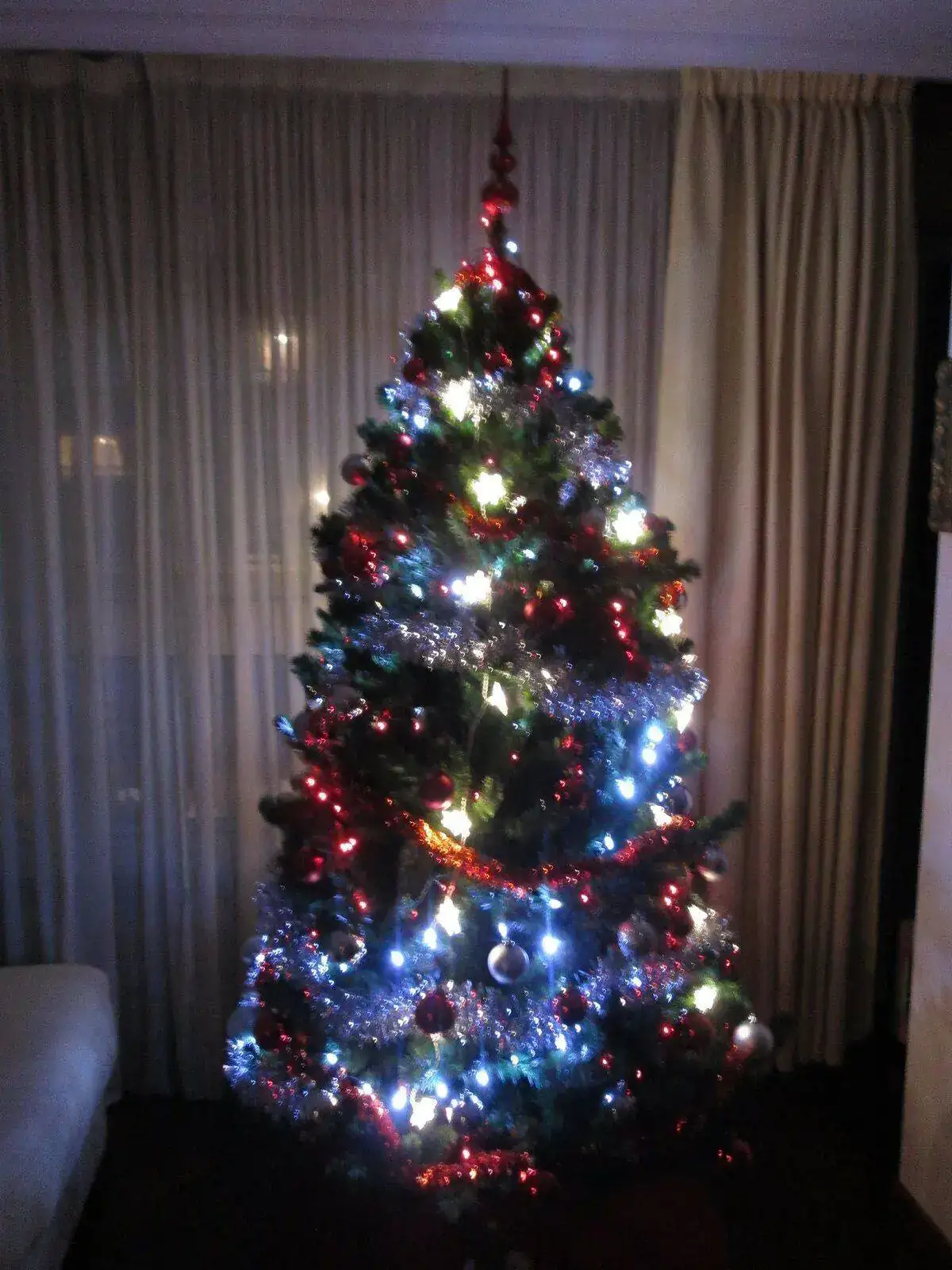 árbol (1).webp