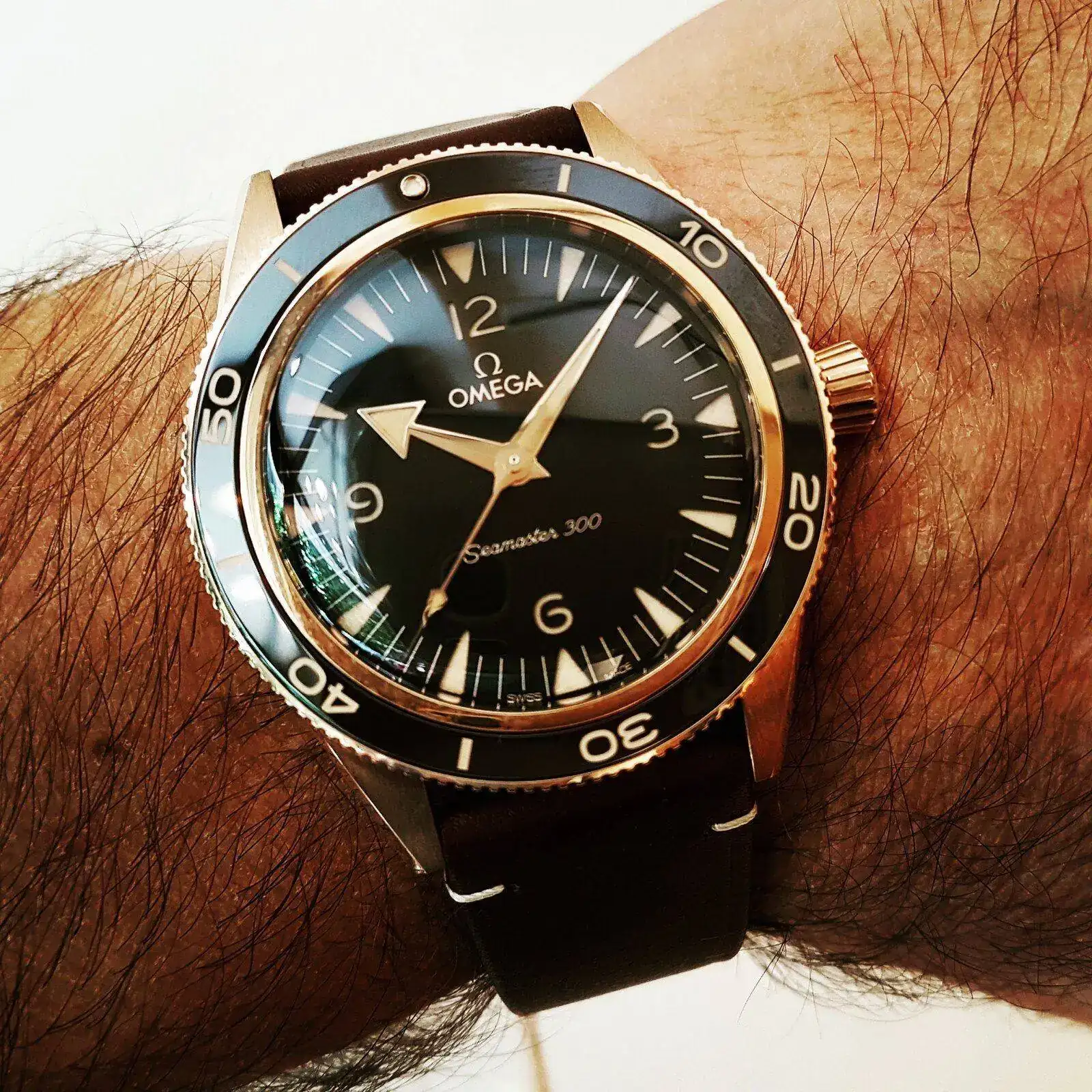 Ω Seamaster 300 Co-Axial Master Chronometer Bronze Gold 41mm Cal. 8912 (1).webp