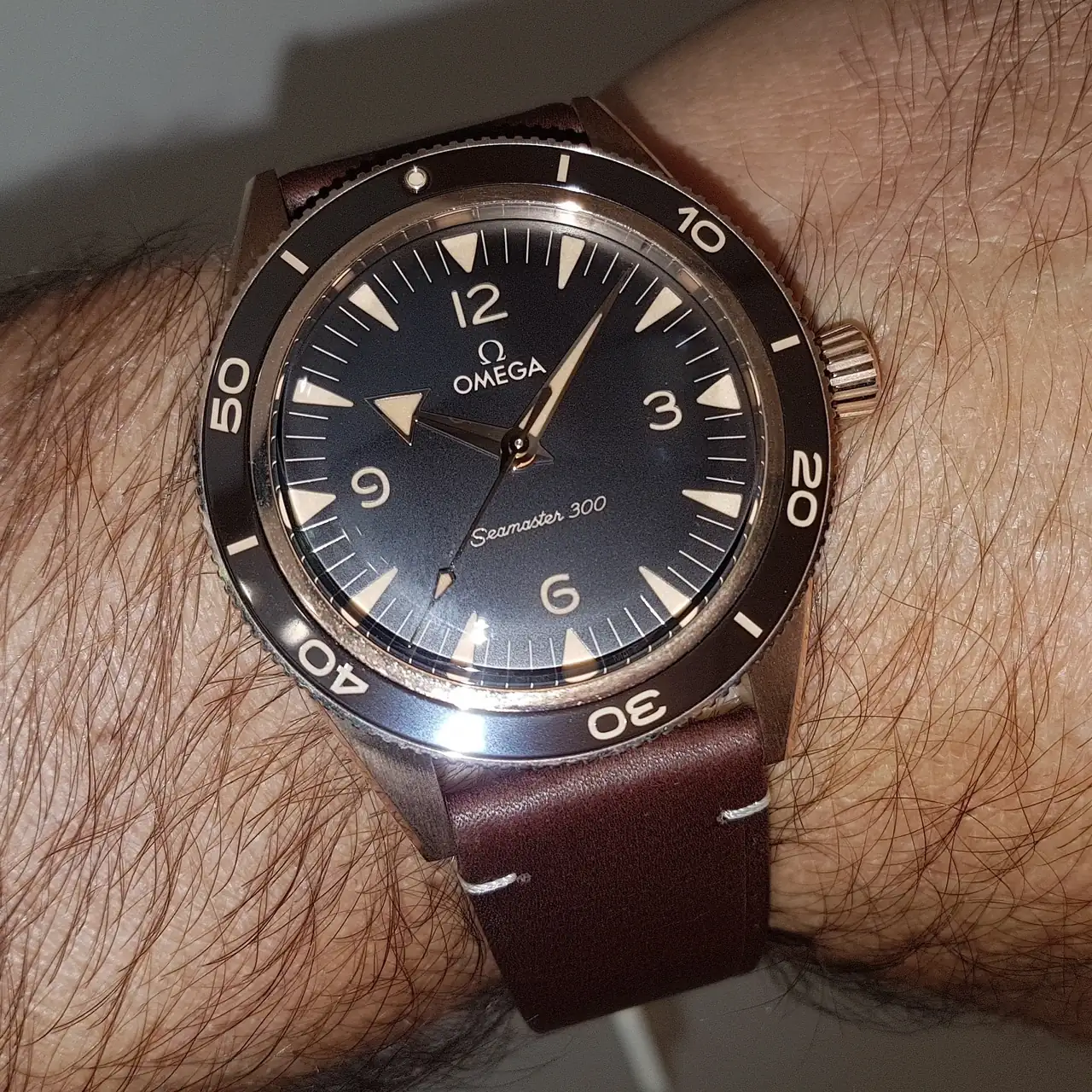 Ω Seamaster 300 Co-Axial Master Chronometer Bronze Gold 41mm Cal. 8912  (1).webp