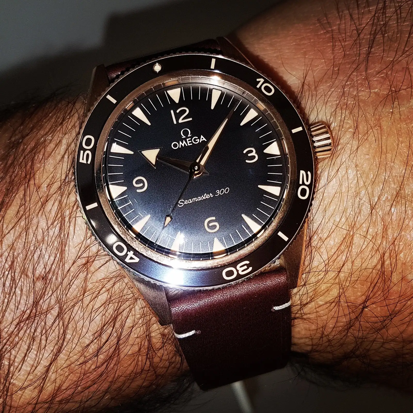 Ω Seamaster 300 Co-Axial Master Chronometer Bronze Gold 41mm Cal. 8912  (1).webp