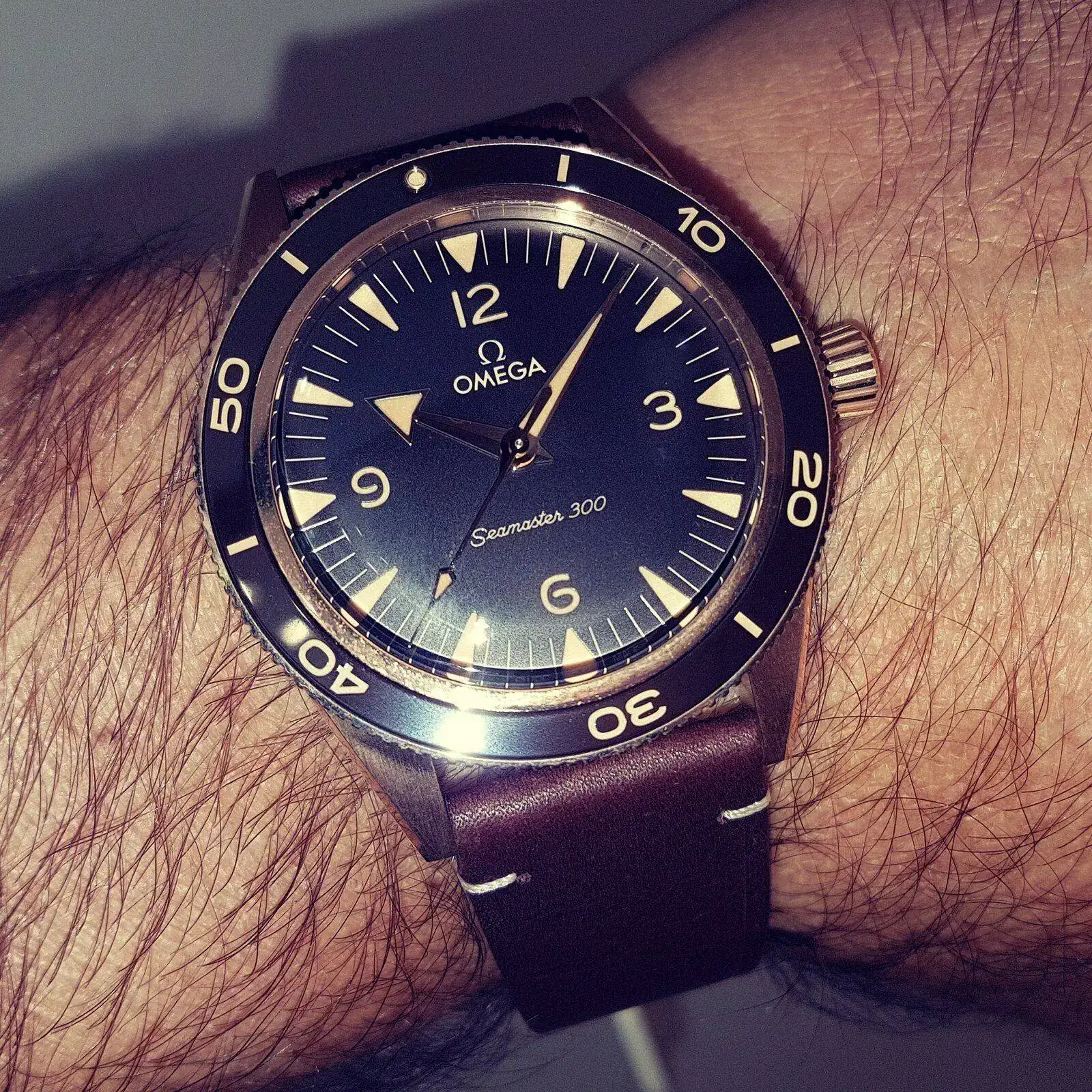 Ω Seamaster 300 Co-Axial Master Chronometer Bronze Gold 41mm Cal. 8912 (2).webp