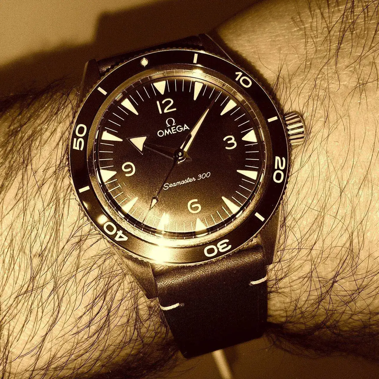 Ω Seamaster 300 Co-Axial Master Chronometer Bronze Gold 41mm Cal. 8912 (Sepia).webp