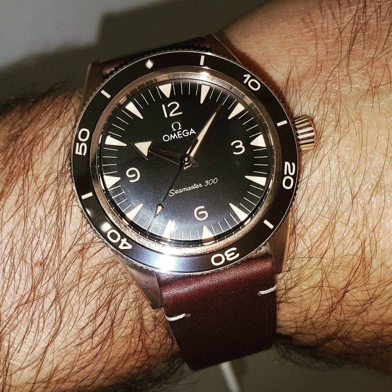 Ω Seamaster 300 Co-Axial Master Chronometer Bronze Gold 41mm Cal. 8912.webp