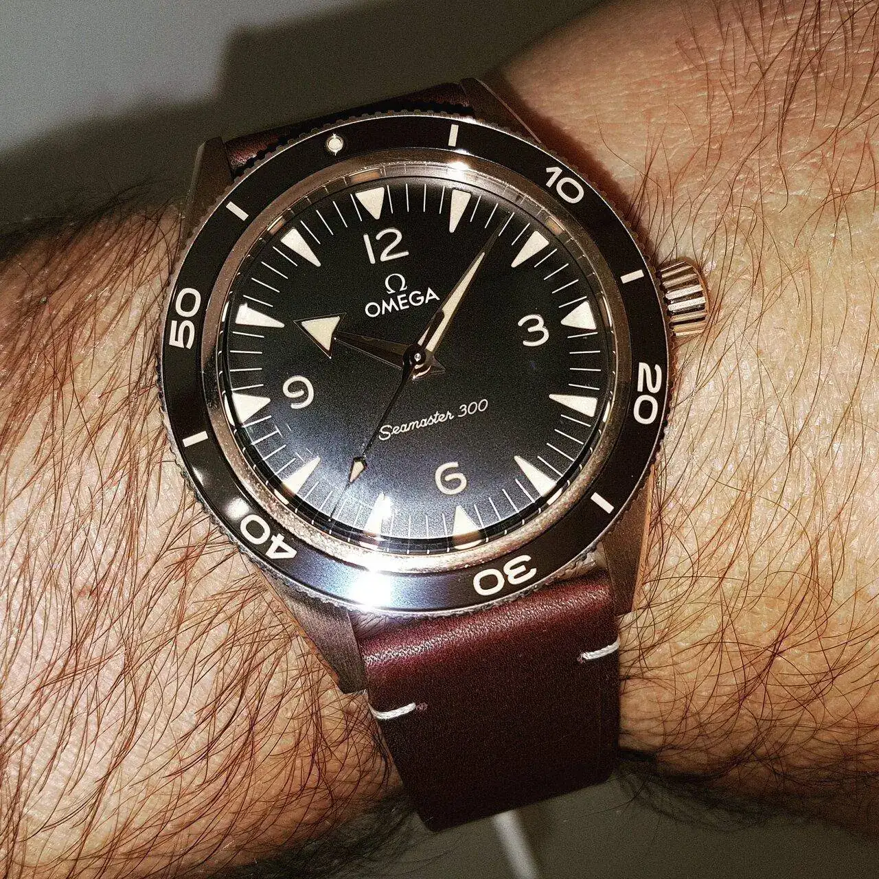 Ω Seamaster 300 Co-Axial Master Chronometer Bronze Gold 41mm Cal. 8912.webp