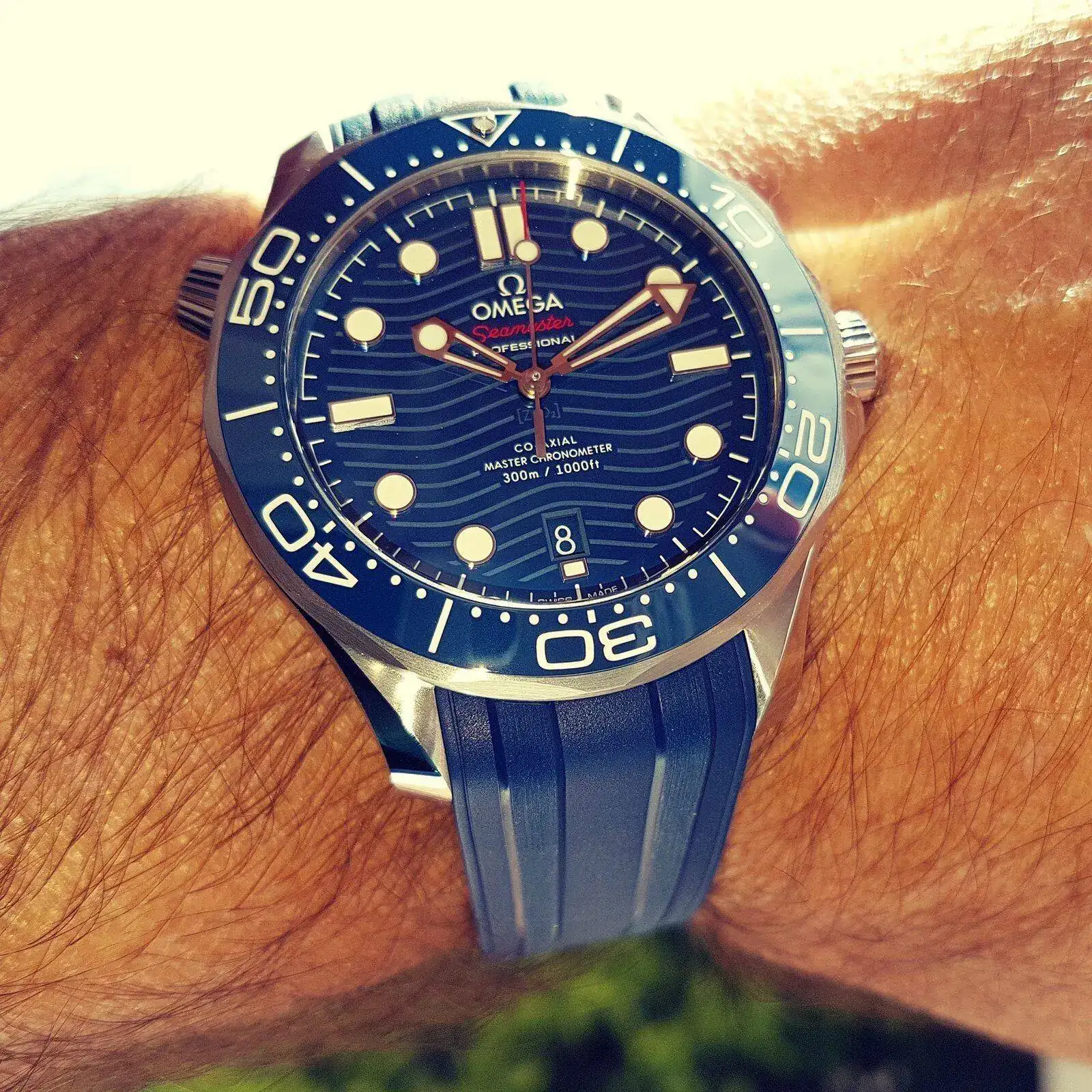 Ω Seamaster Professional Diver 300M Co-Axial Master Chronometer 42mm Cal. 8800 Blue (2).jpg