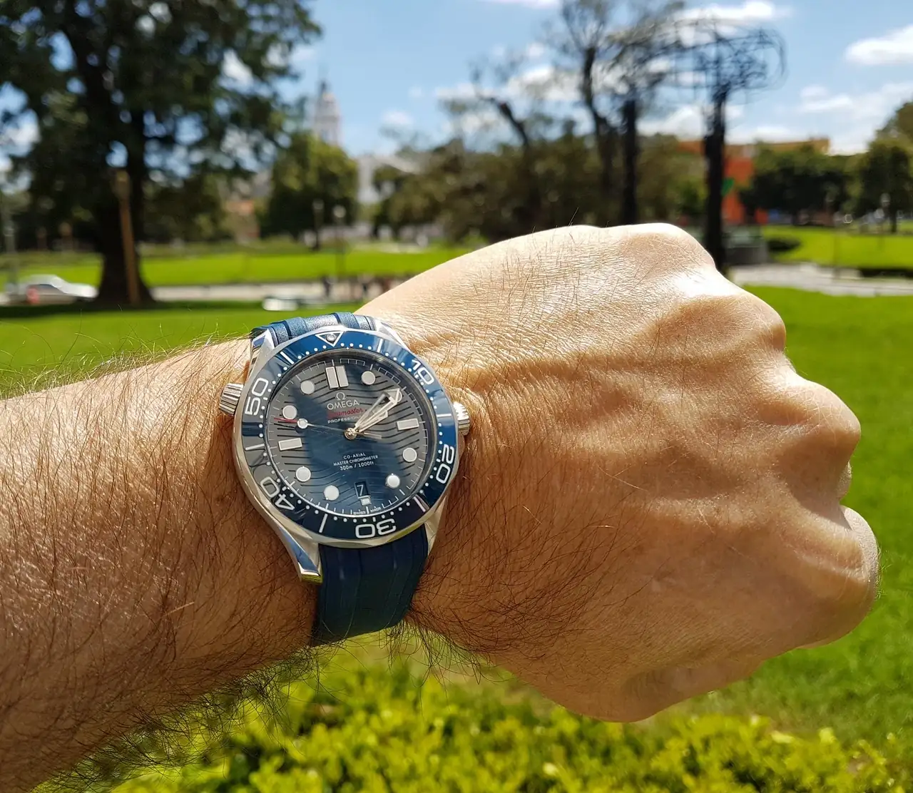 Ω Seamaster Professional Diver 300M Co-Axial Master Chronometer 42mm Cal. 8800 Blue (3).webp