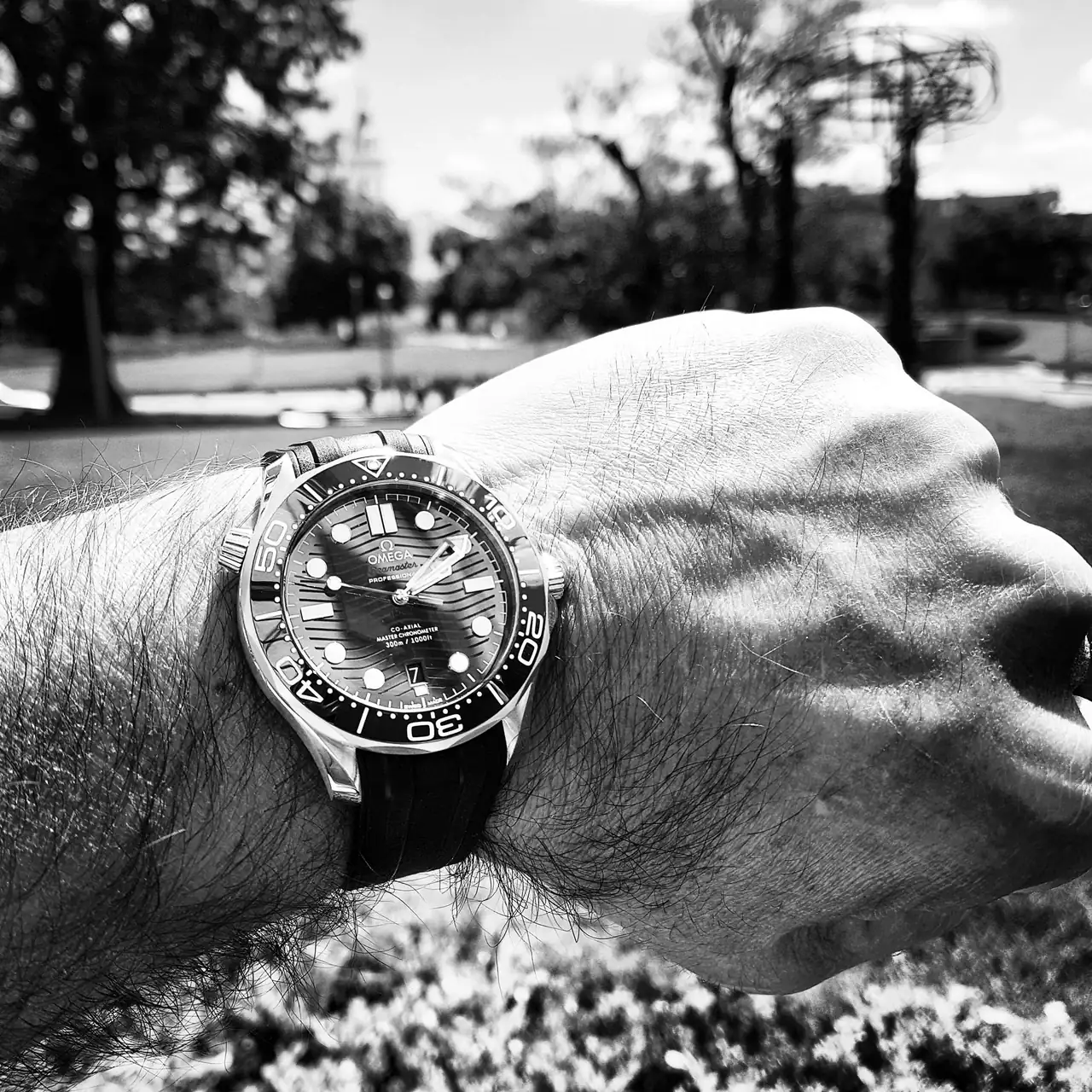 Ω Seamaster Professional Diver 300M Co-Axial Master Chronometer 42mm Cal. 8800 Blue (4).webp