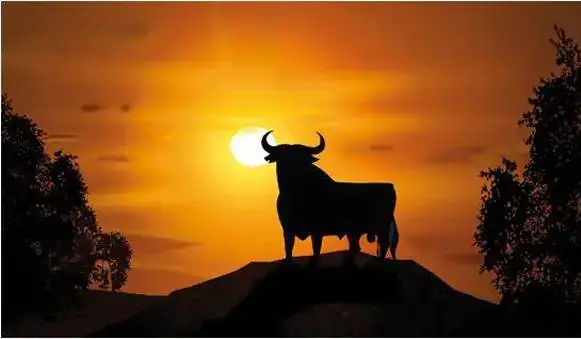 00-toro.webp