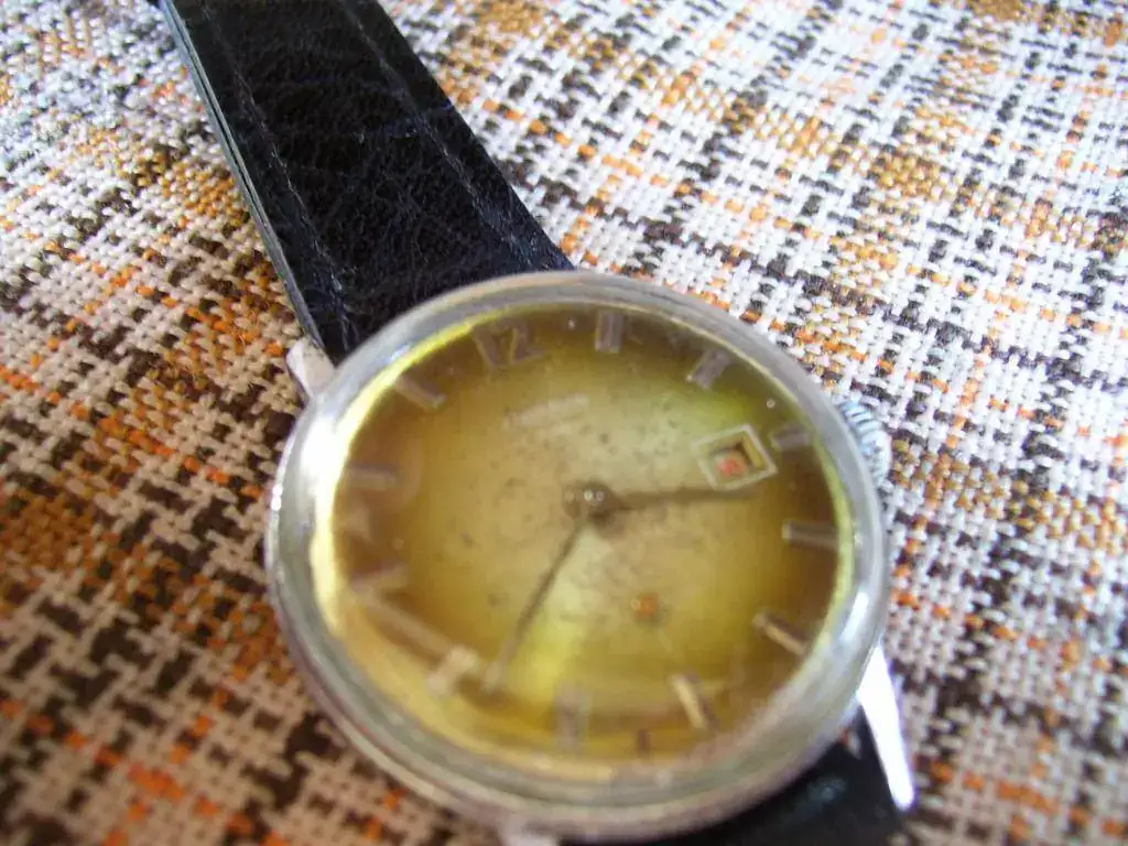000_0223.webp
