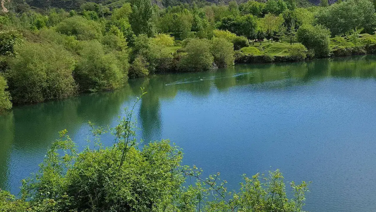 004.webp