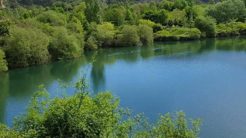 004.webp