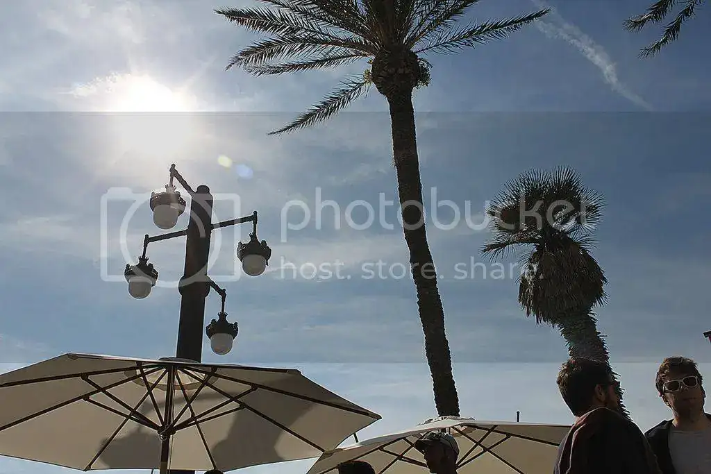 005.webp
