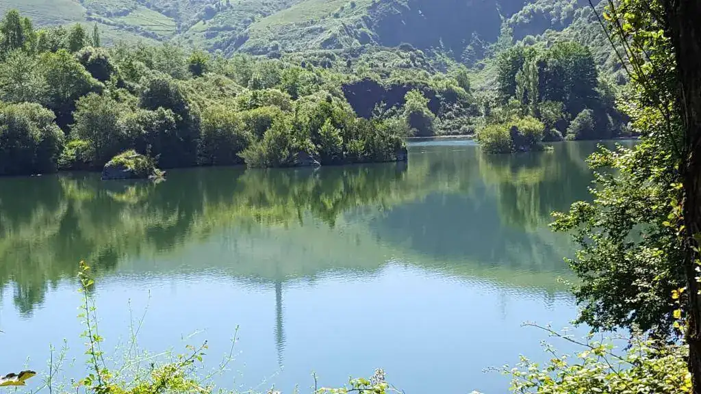 013.webp