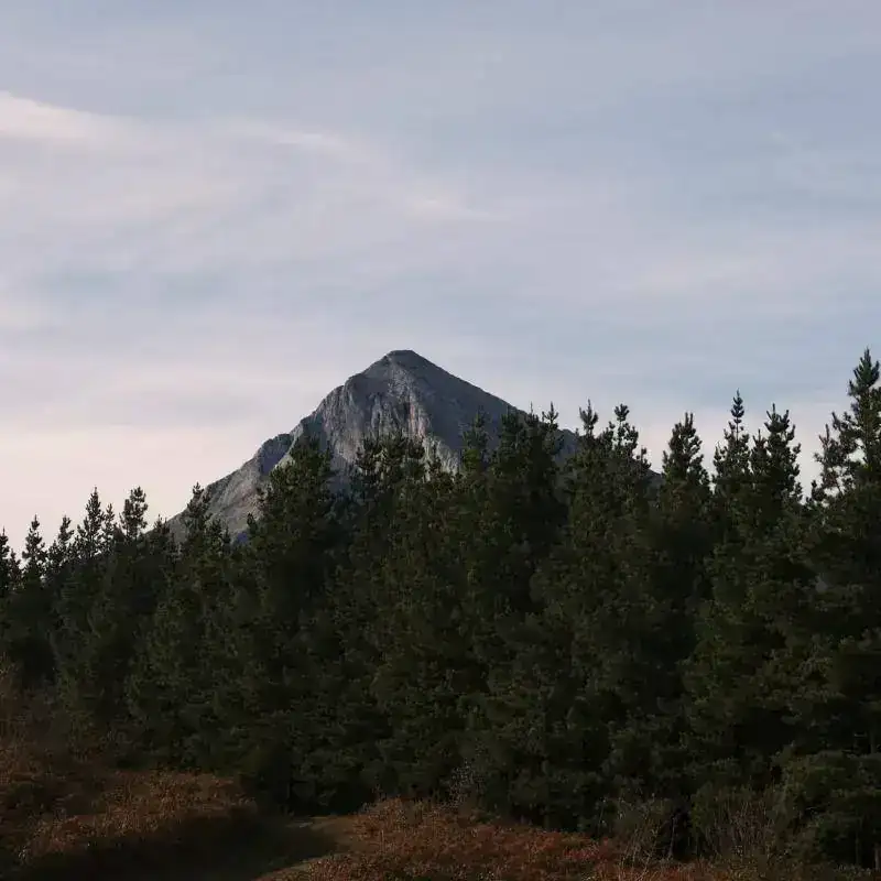 017.webp