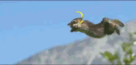 0205c04395ee92b702f897ff18d615db.gif