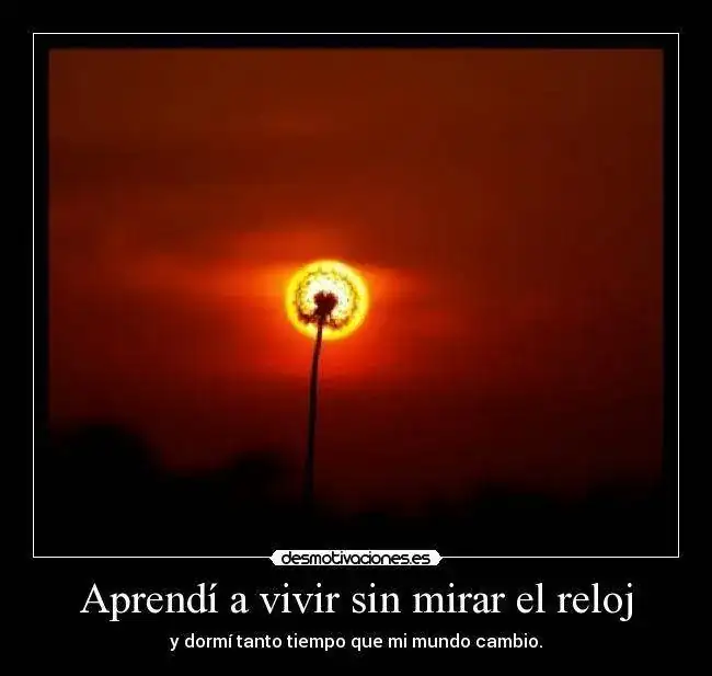 032_8.webp