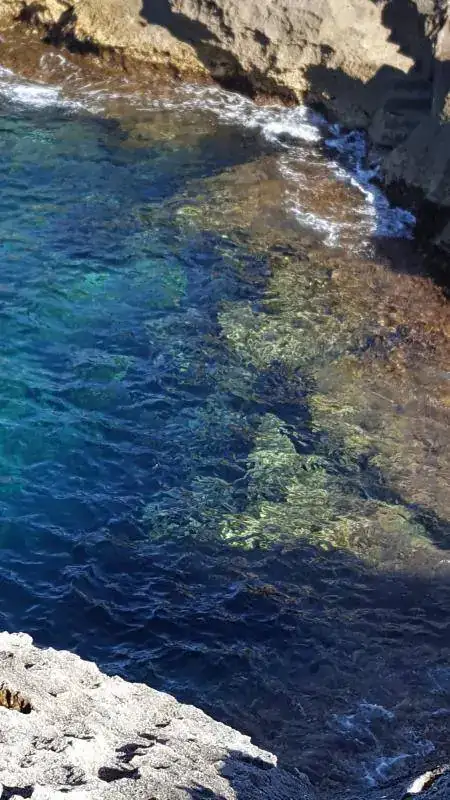 046.webp