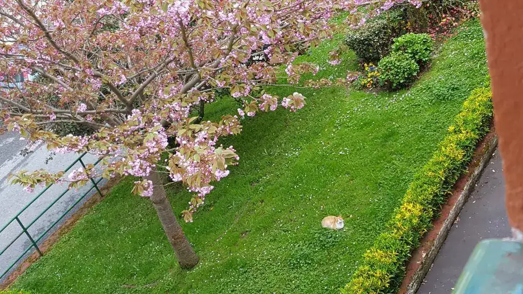 047.webp