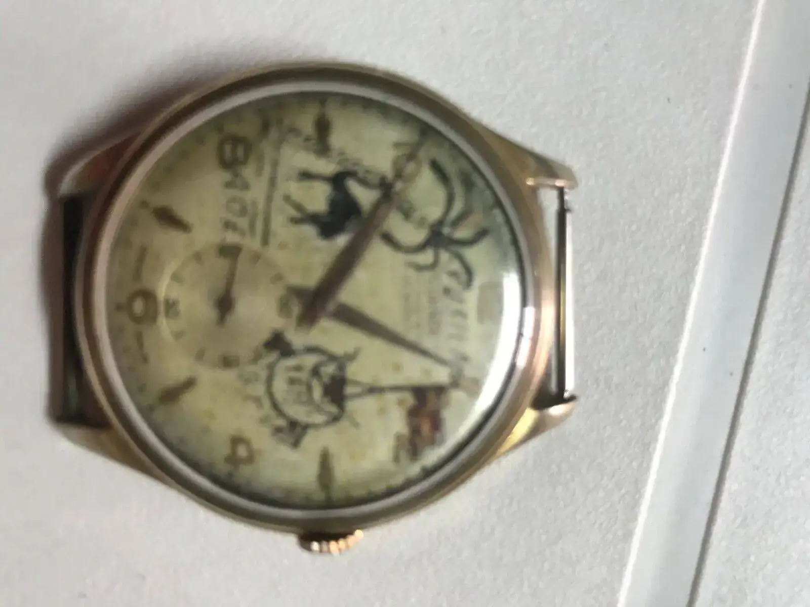 0486400D-AD86-4801-ABF0-94B55247F668.webp