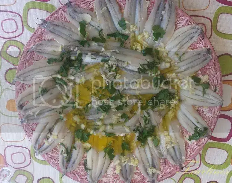 05%20Copiar_zpstiqlruhi.webp