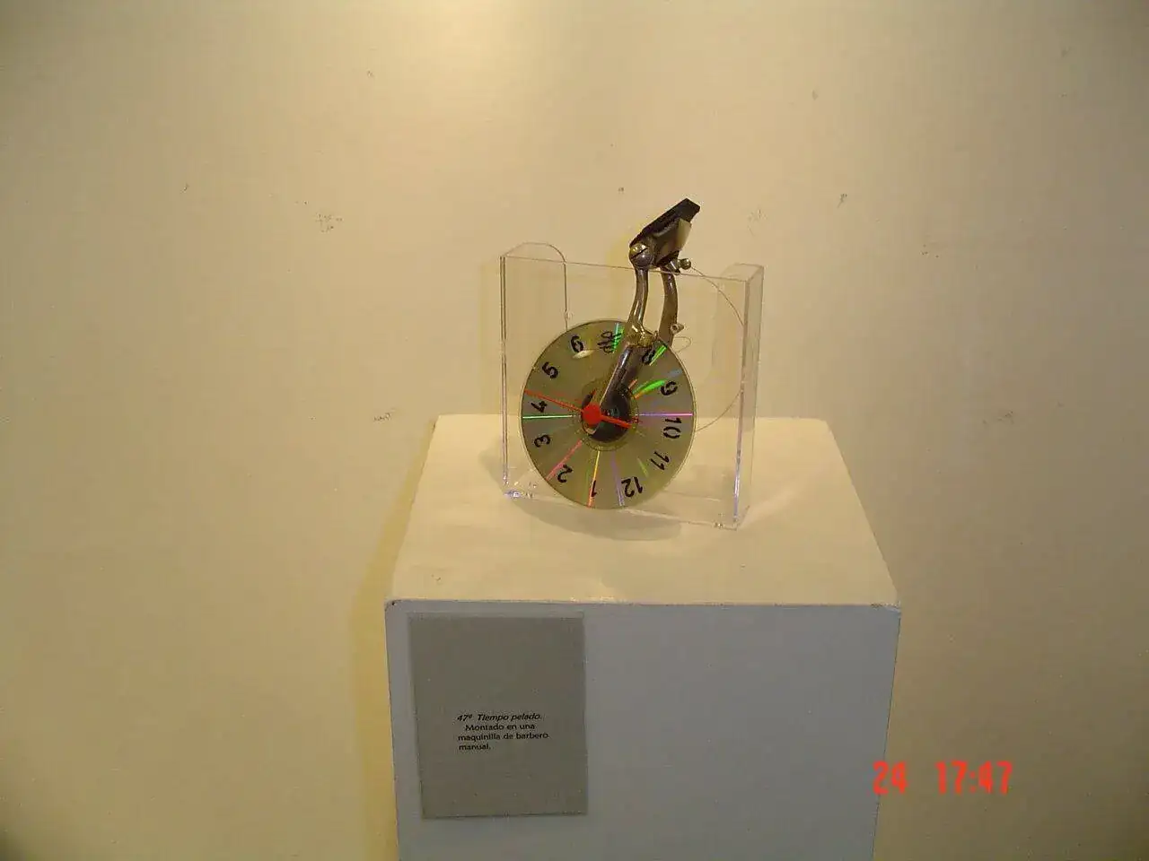 050.jpg