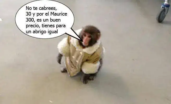 073XLBS.webp