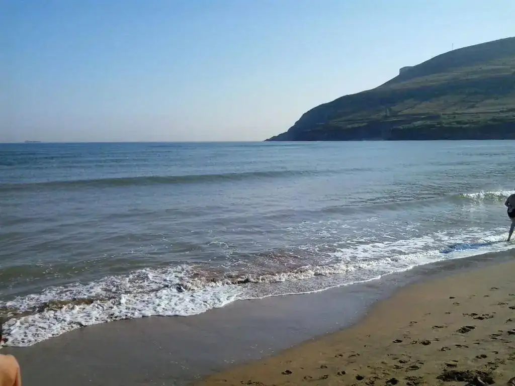 086.webp