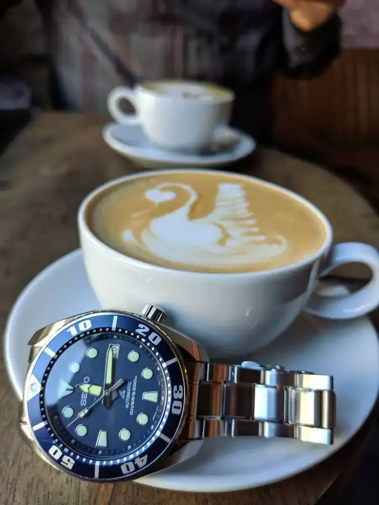 095ed53bc453e2aaaf7cad4a6ca7d86f.webp