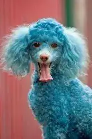 096314780b3f867bb6f8f7ff0f7051e3.webp