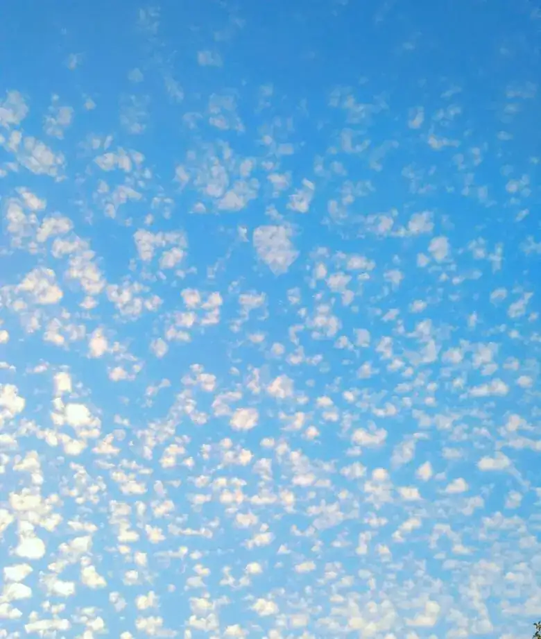0ae7b27bc816f74e08a2534d83503039.webp