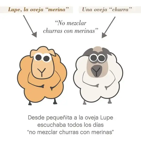0d651832acaa87e2ea40b86649ee2324--wordpress.webp