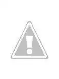 0GmIDIXWjz8iqK4-t3fs6bQeXIO9tMTvOc8=w116-h155-p-no.webp