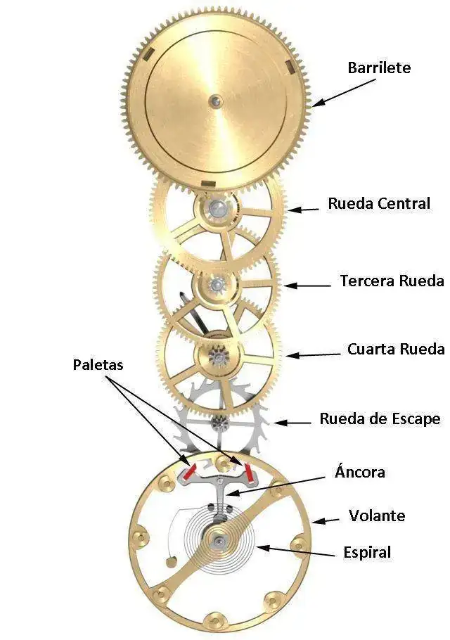 1-Elementos-del-reloj.webp