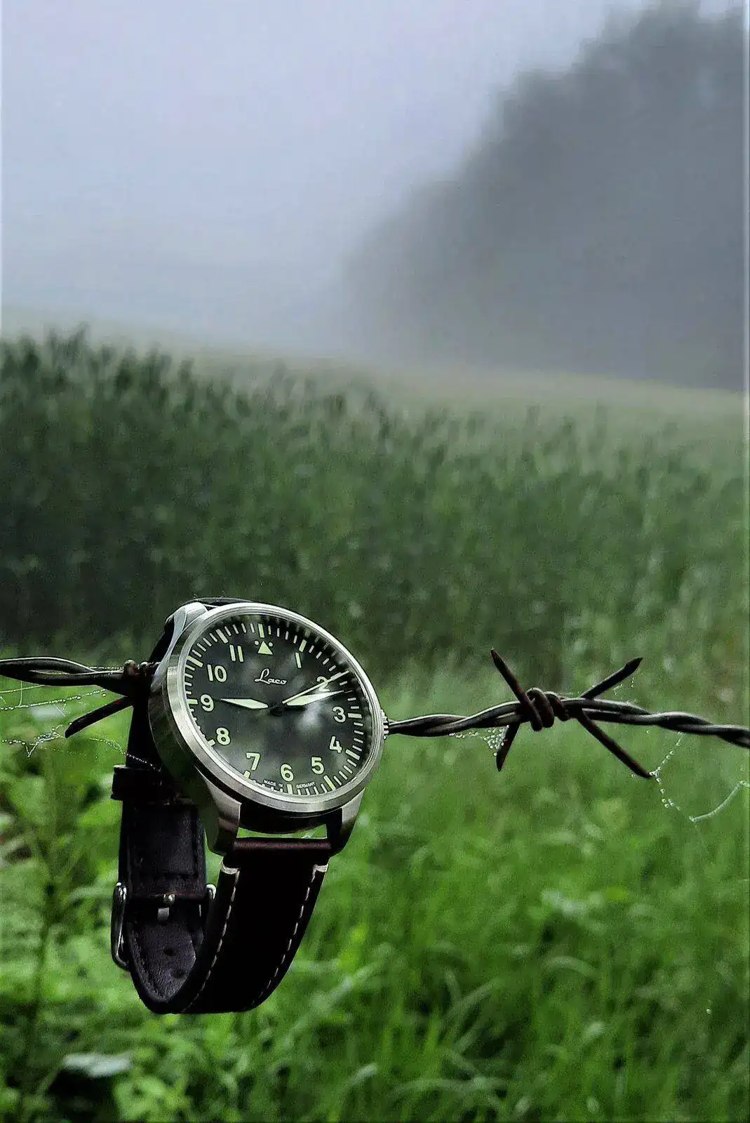 (1) Jesus Vit - Laco.jpeg