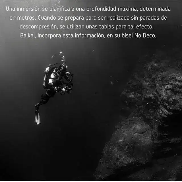 10.webp