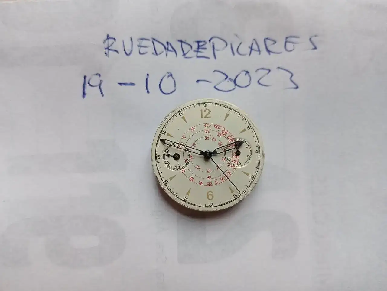 1000000786.jpg