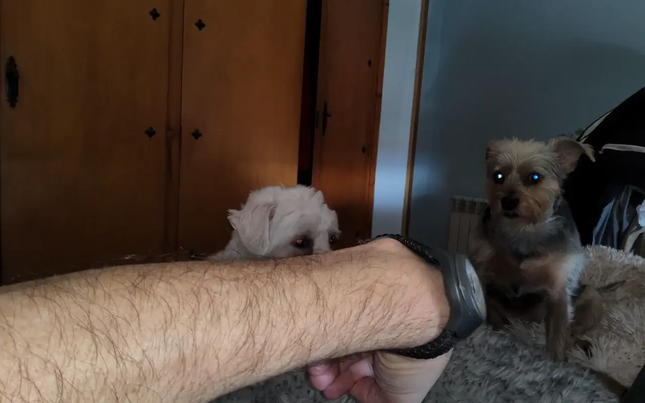 1000001078.webp