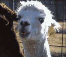 1000001348.gif