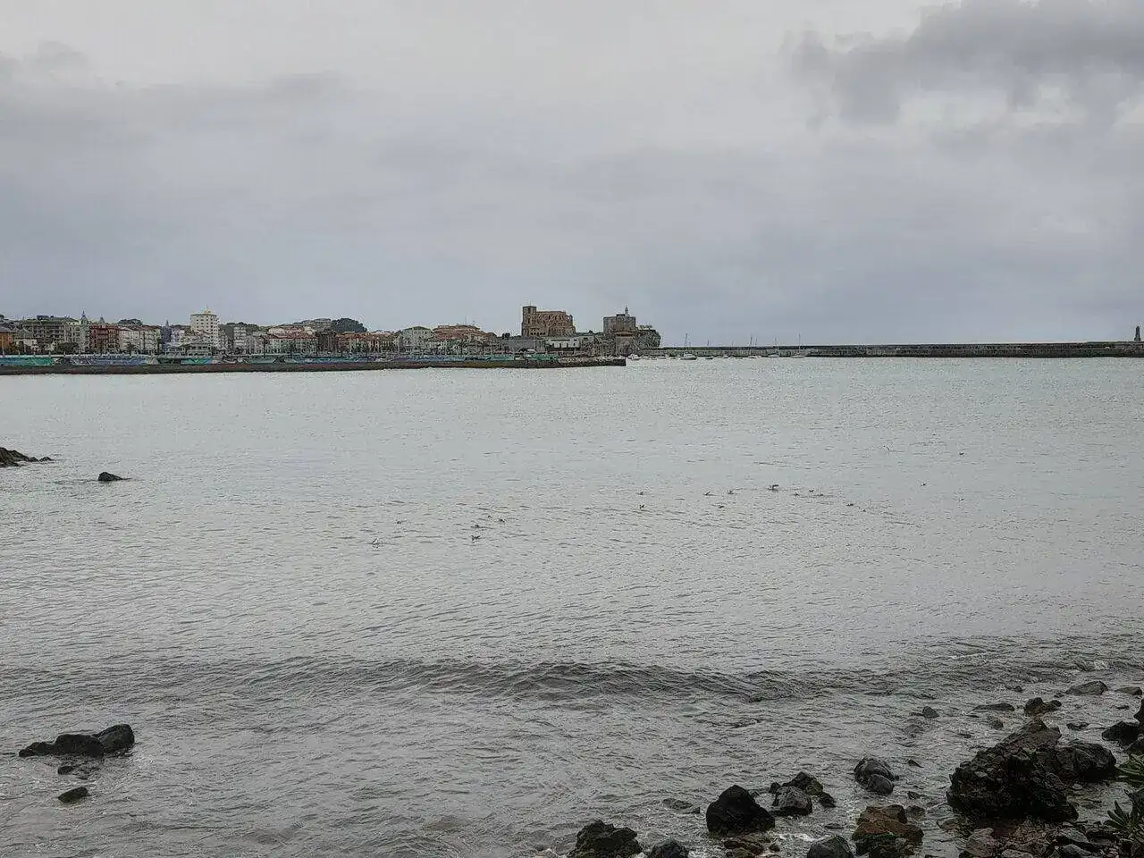 1000002461.webp