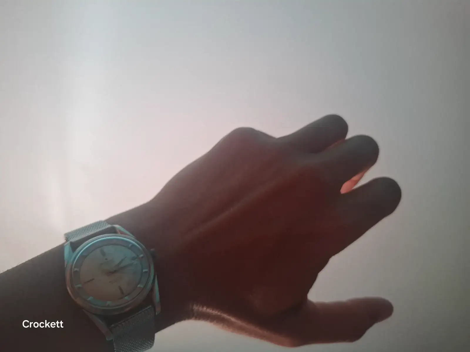1000004242.webp