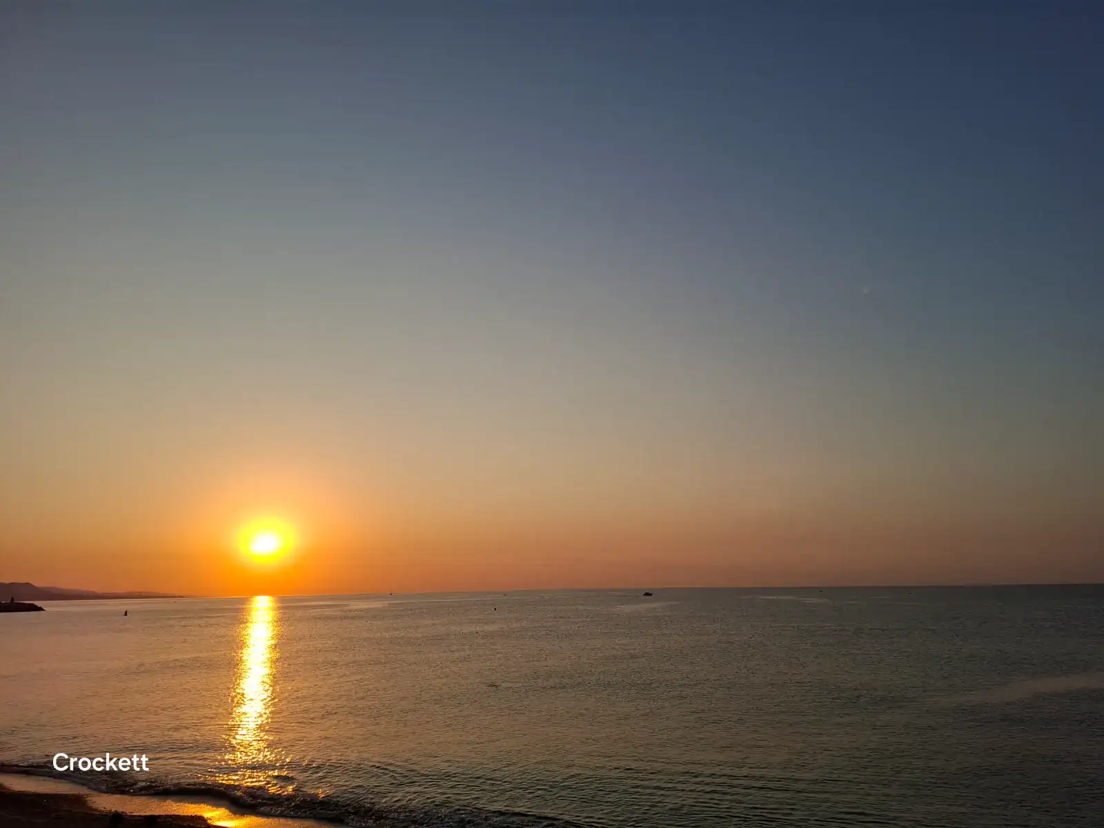1000004300.webp