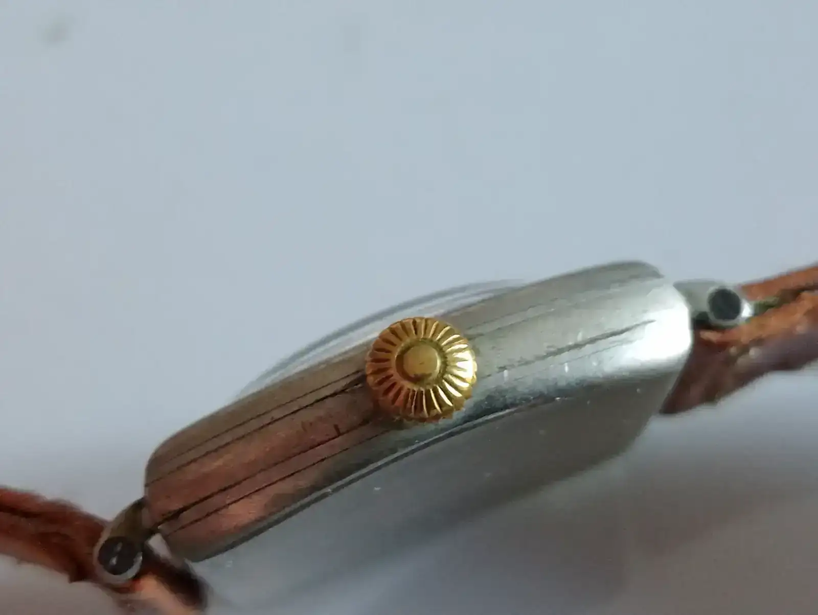 1000004777.webp 1000004777.webp