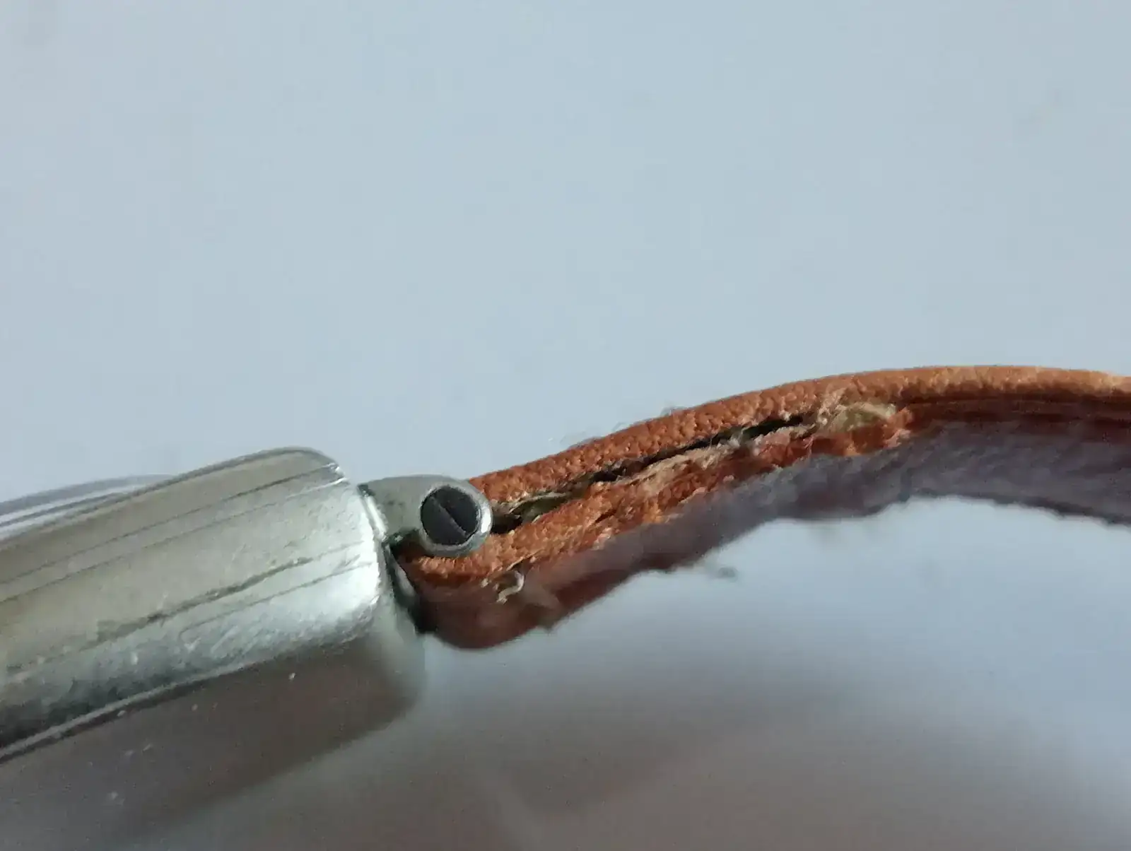 1000004778.webp 1000004778.webp