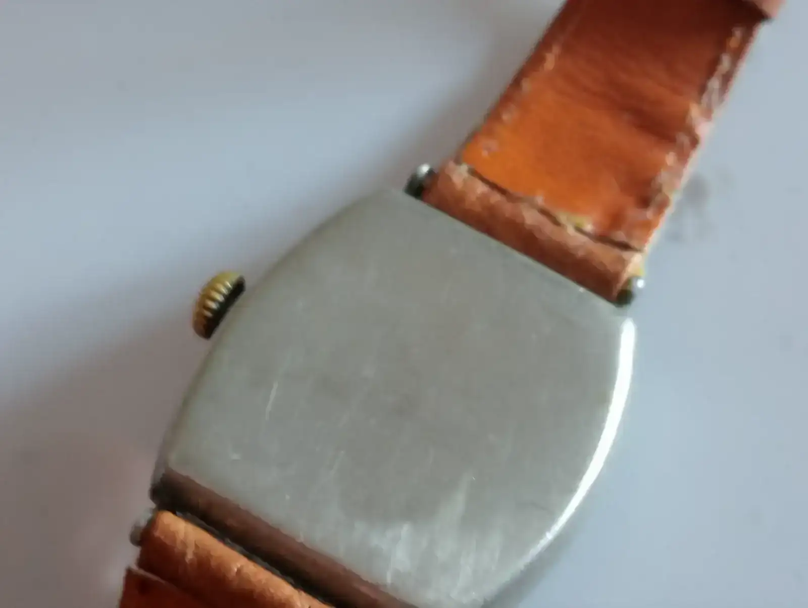 1000004779.webp 1000004779.webp