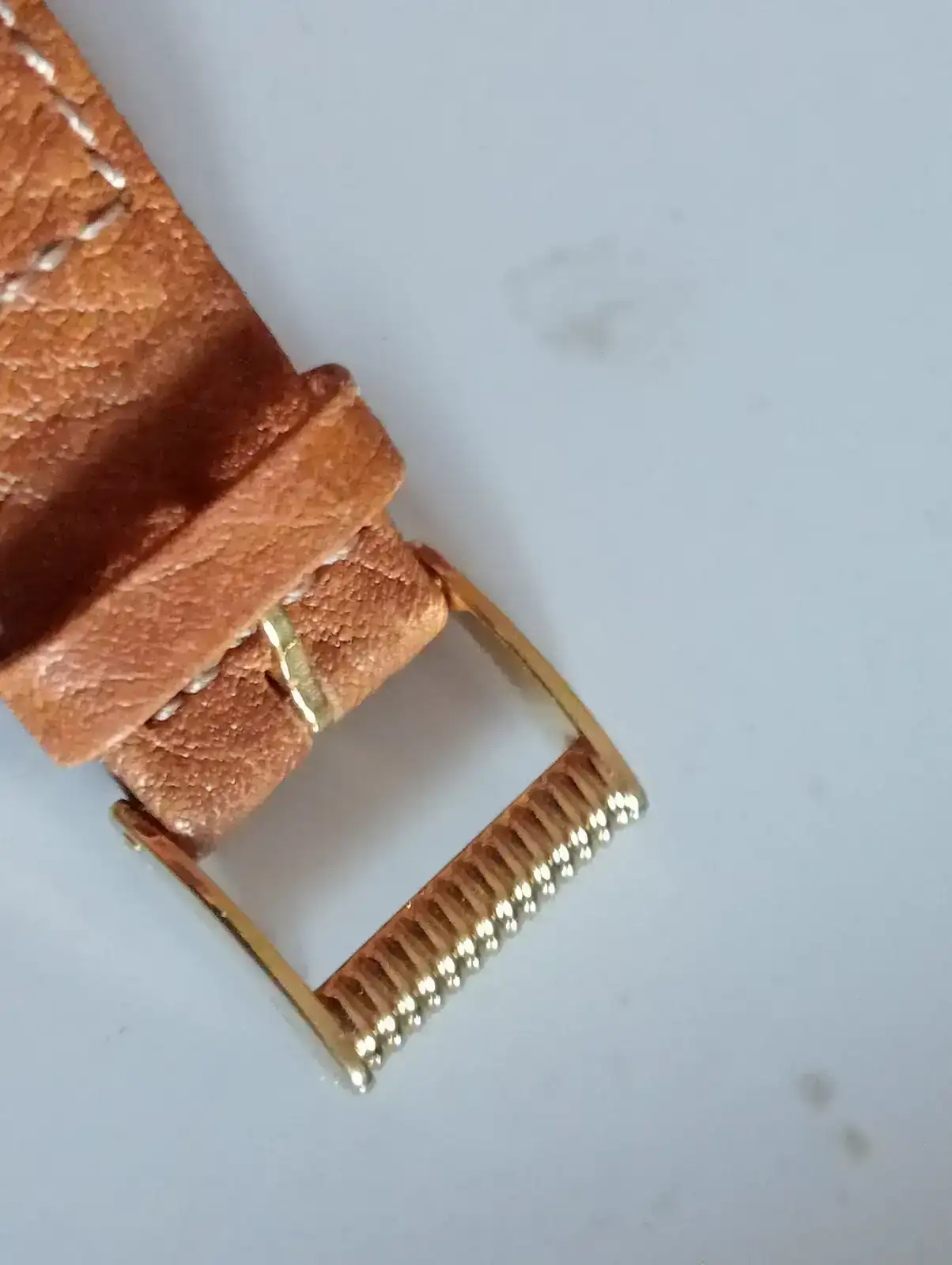 1000004781.webp 1000004781.webp