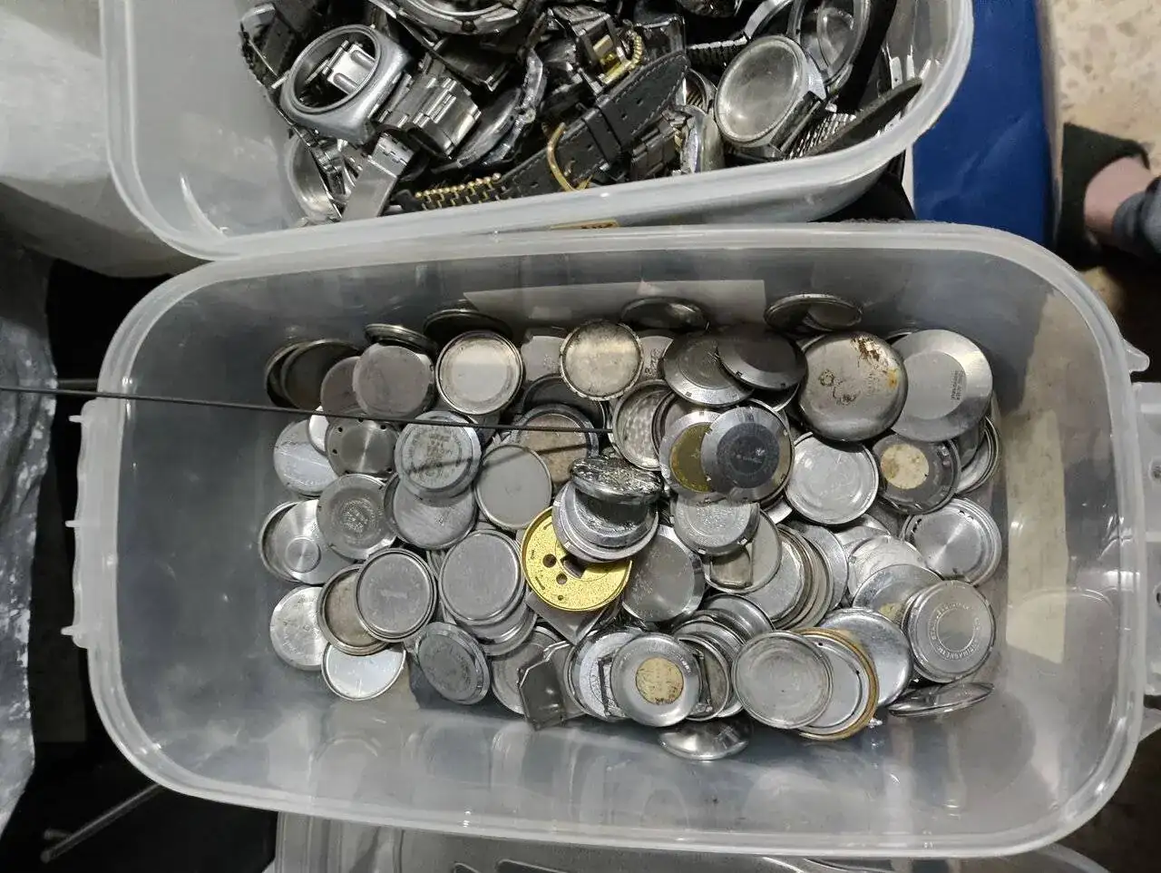 1000006841.jpg