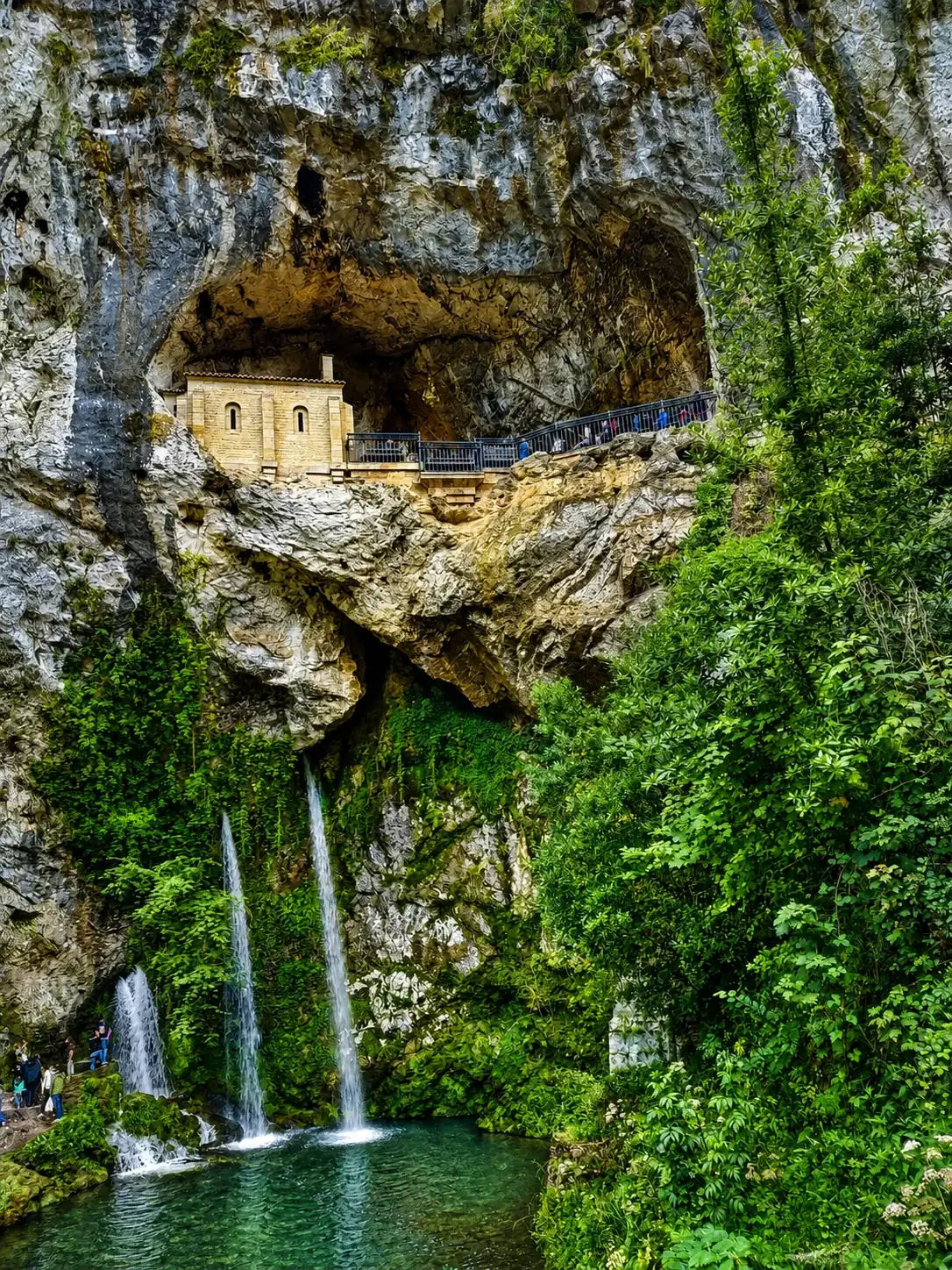 1000011154.webp