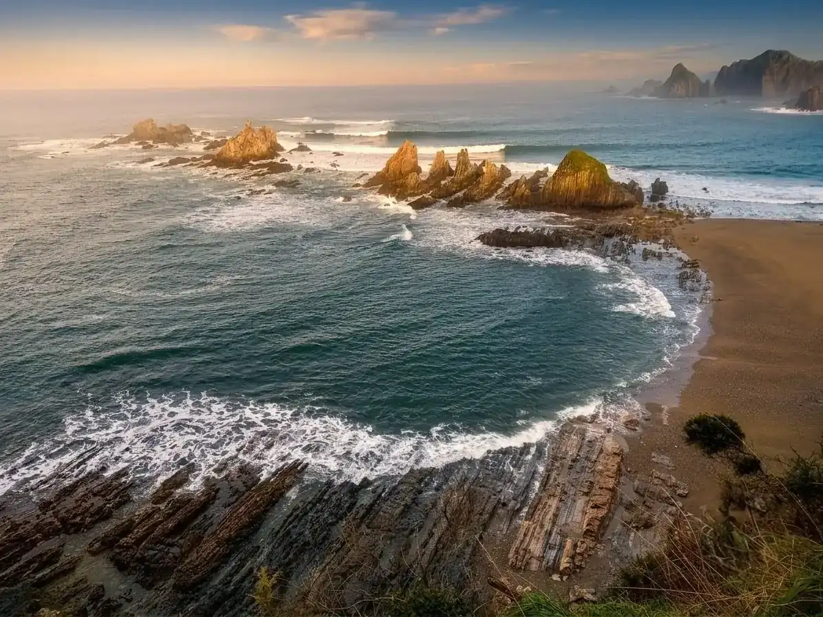 1000011632.webp