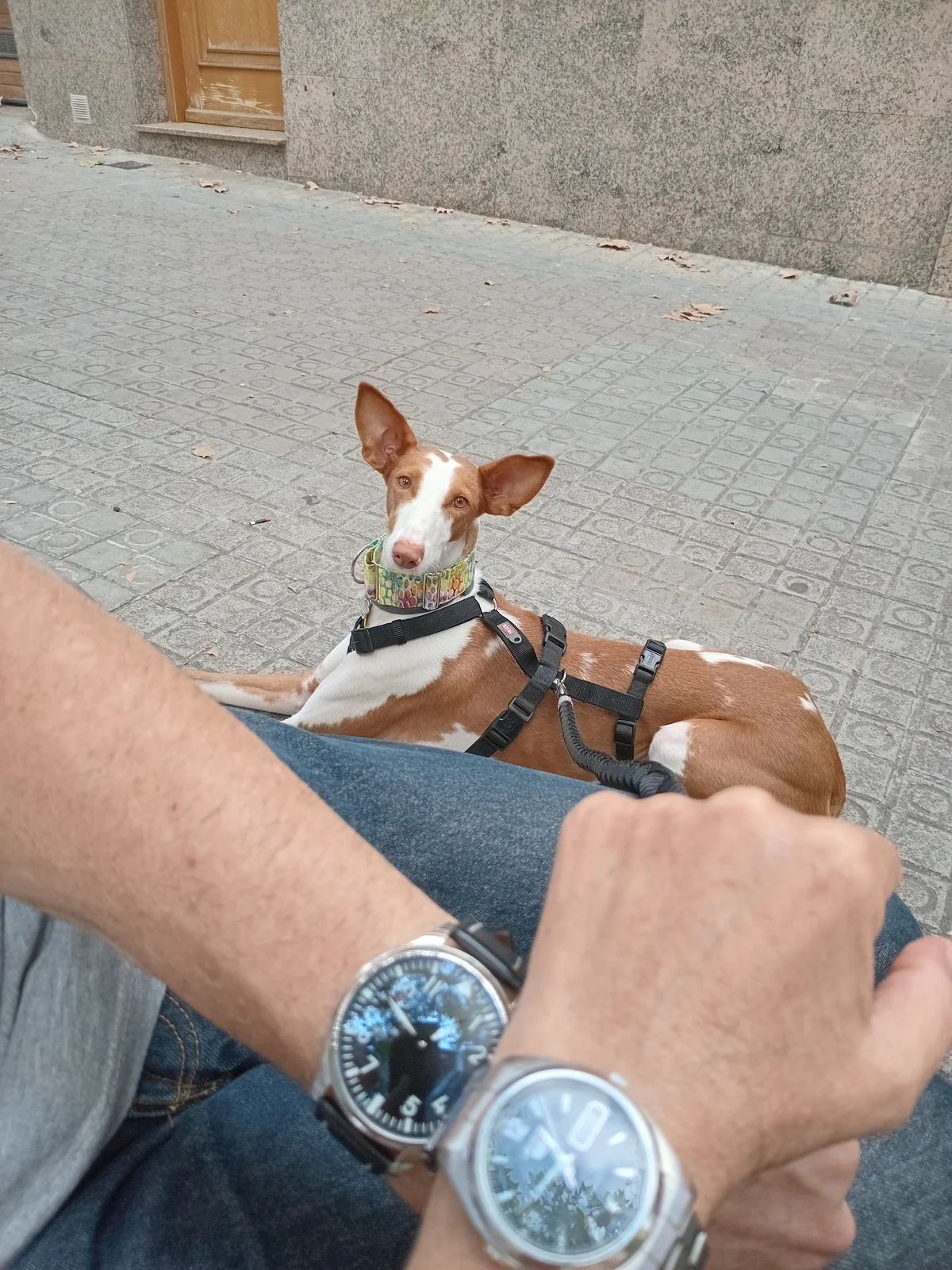 1000014544.webp
