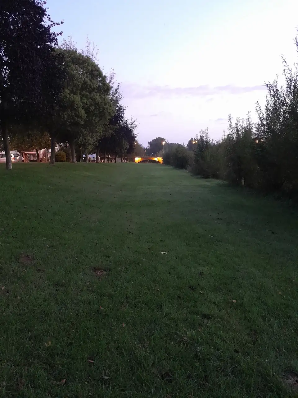 1000015693.webp